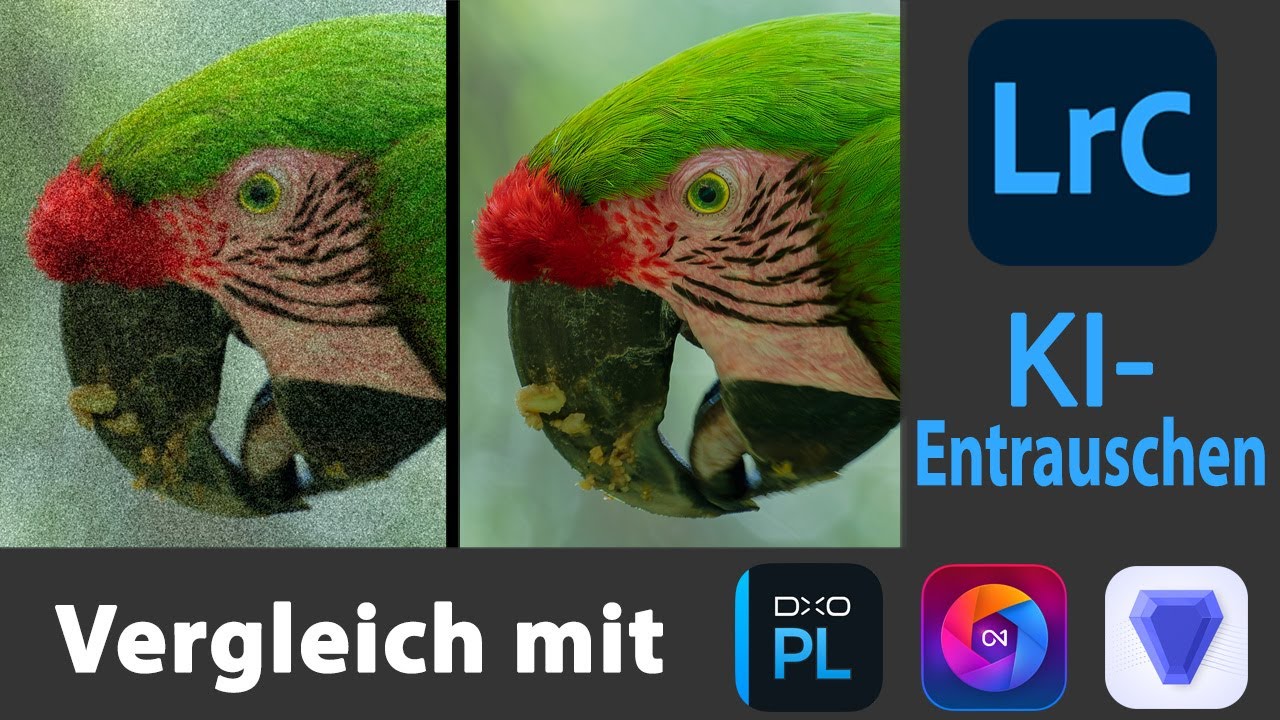 KI-Entrauschen mit Lightroom Classic || Wie schlägt es sich im Vergleich mit DxO - ON1 - Topaz ?