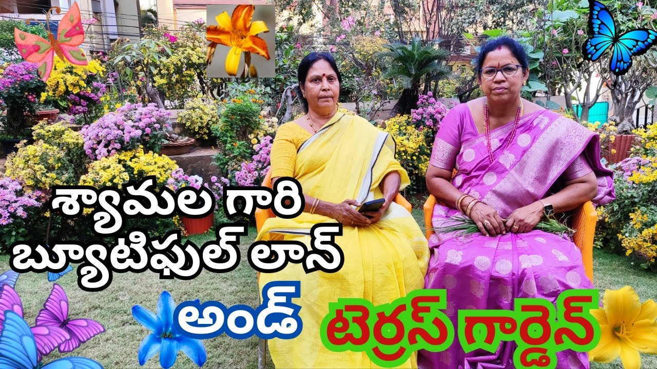 శ్యామల గారి బ్యూటిఫుల్ లాన్, అండ్ టెర్రస్ గార్డెన్#@Aadilakshmi terres garden#beauty full lone