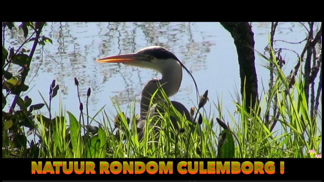 Natuur rondom Culemborg !