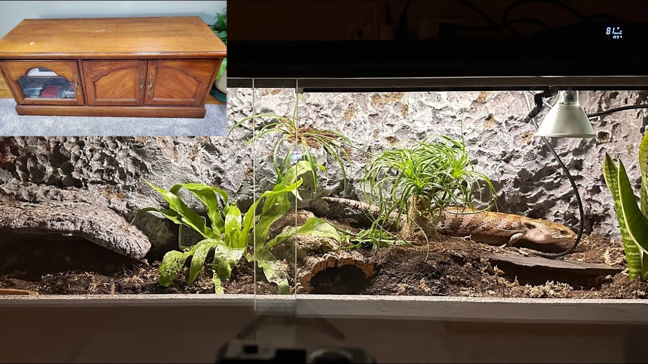 $5 Furniture to Bioactive Reptile Enclosure