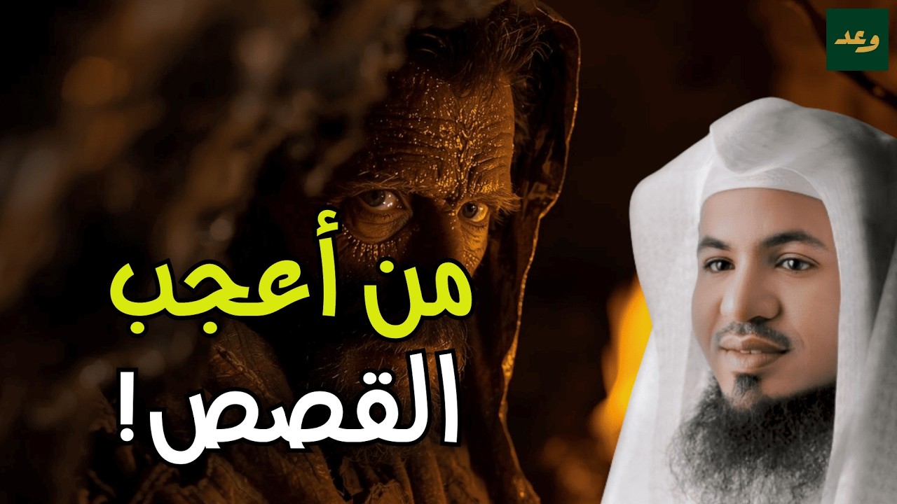 استرخي مع أعجب القصص | حكايات تهدئ القلب قبل النوم – الشيخ الشنقيطي