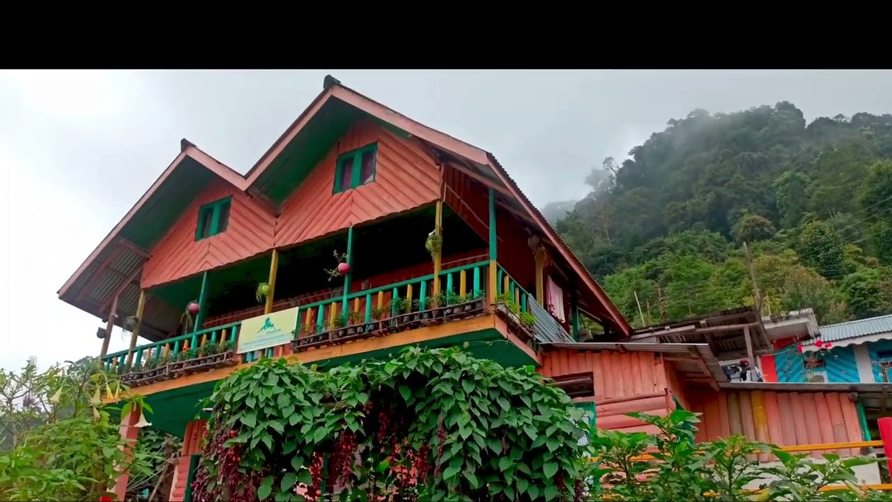 Casero Homestay Kolakham ; ক্যাসেরো হোমস্টে কোলাখাম ; ঘর থেকে কাঞ্চনজঙ্ঘার দৃশ্য উপভোগ করুন
