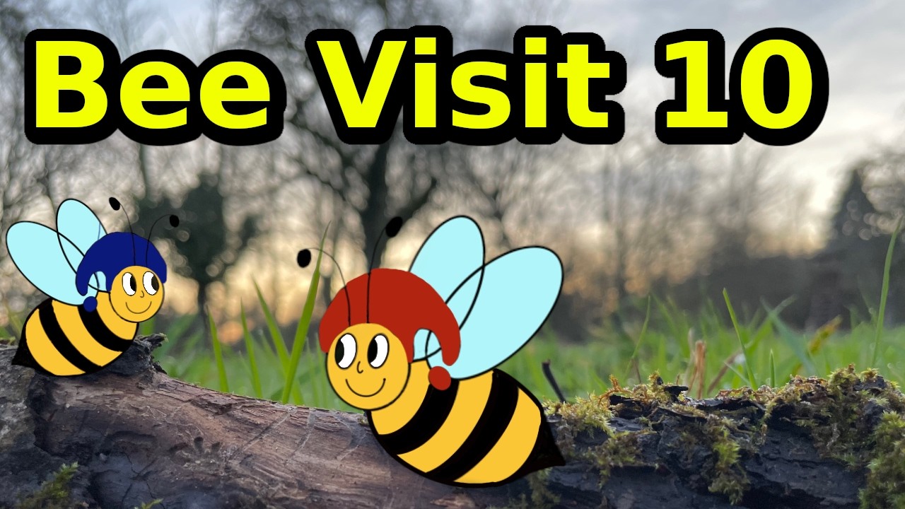 Bee Visit 10 | Quiet Beekeeping