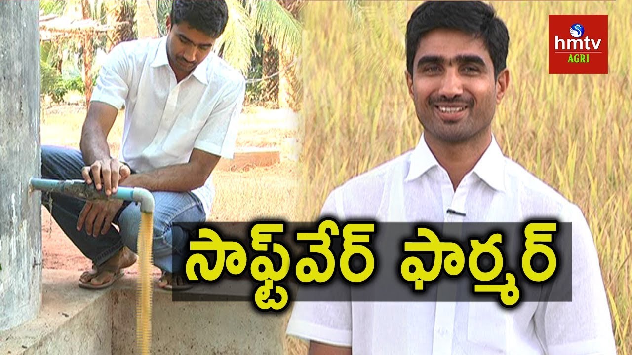 Natural Farming | Software Engineer Harikrishna Turns Farmer | hmtv Agri