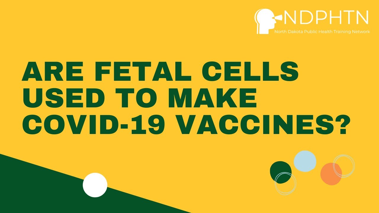 (S009) Are fetal cells used to make COVID-19 vaccines?