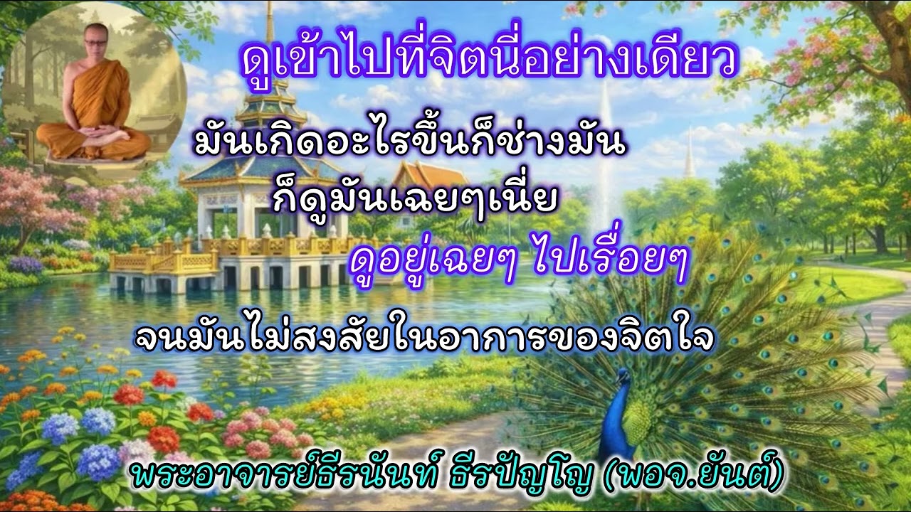ดูเข้าไปที่จิตนี่อย่างเดียว พระอาจารย์ธีรนันท์ ธีรปัญโญ (พอจ.ยันต์)