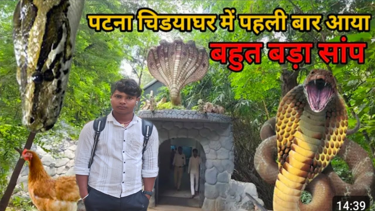 #patna zoo!! पटना चिड़ियाघर!!mast video