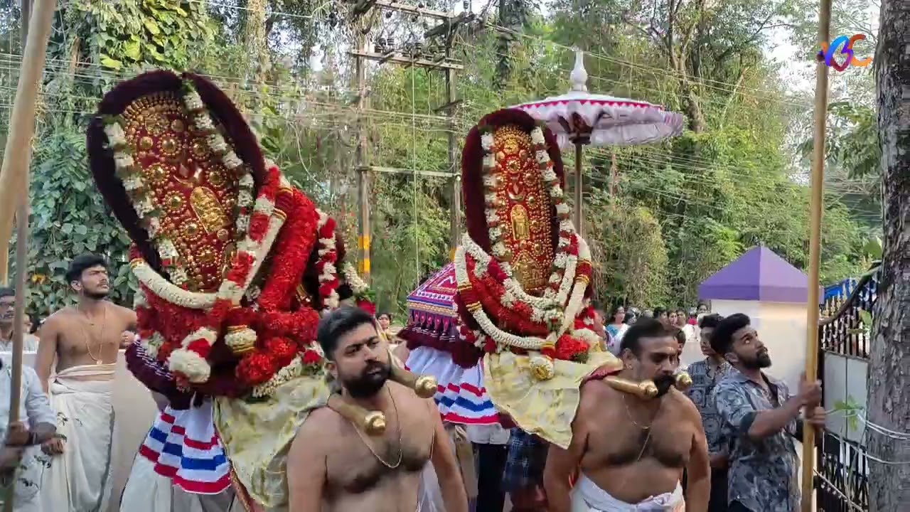 എണ്ണക്കാട് നാലുവിള ഭഗവതിമാരുടെ കൈനീട്ടപറ 2025 ennakkad naluvila devi temple jeevatha ezhunnallathu 