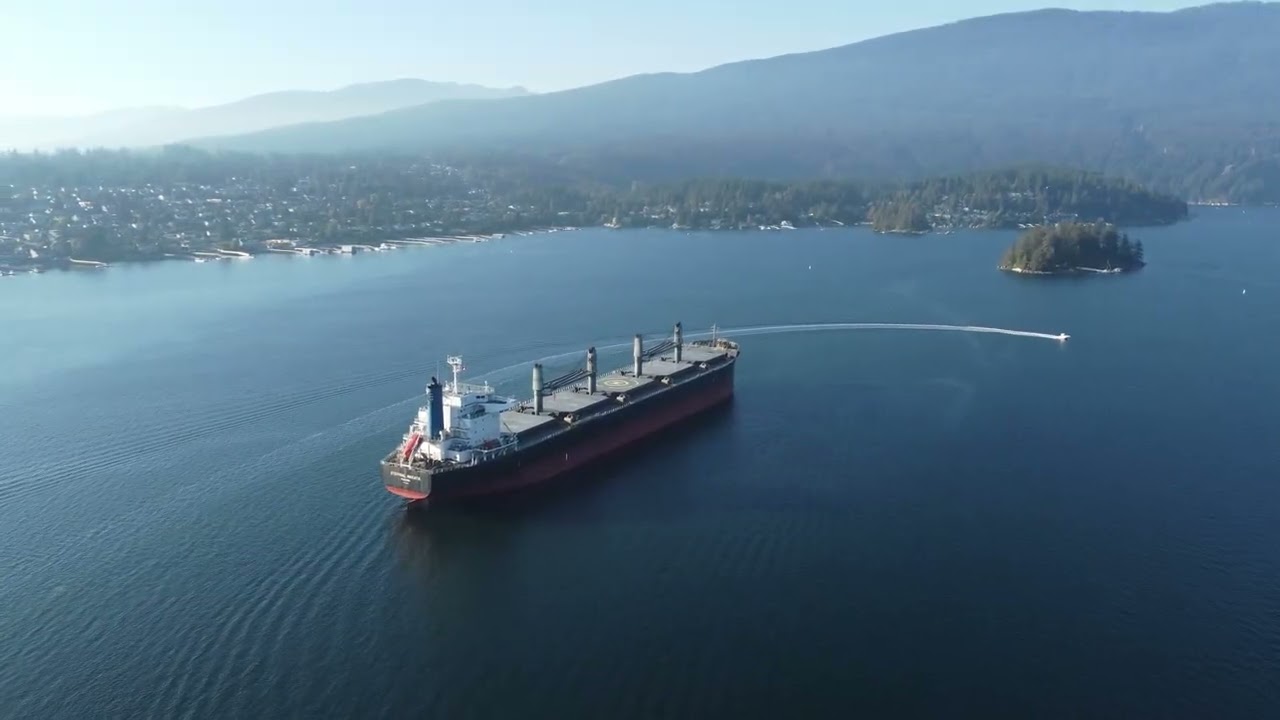 Lounge Drone flyover - 4k Drone footage over sea and forest