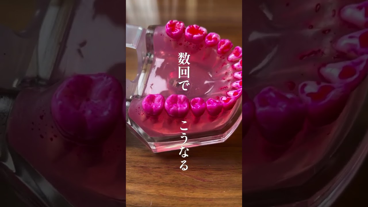 奇跡の歯ブラシ