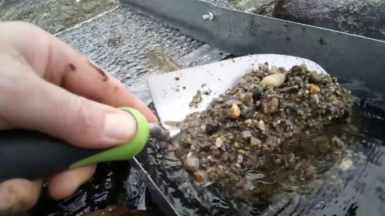 Sversamento del fino in canaletta, ripresa normale e subacquea. Cleaning goldensand, underwater.