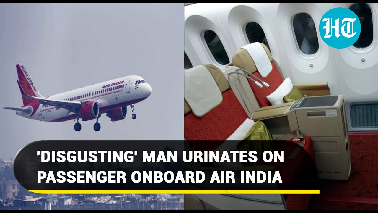 Drunk man on Air India's New York-Delhi flight urinates on woman co-passenger I Details