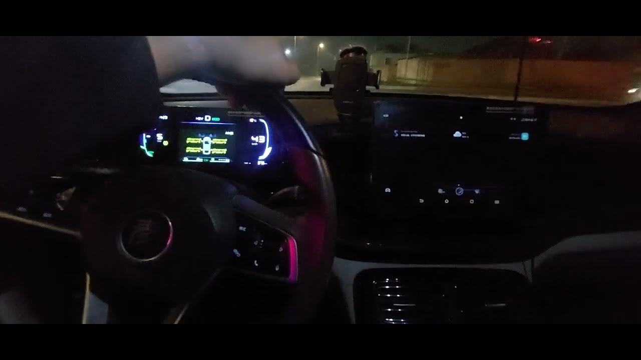 PRIUS 20 KUZA SURENLER GELIN