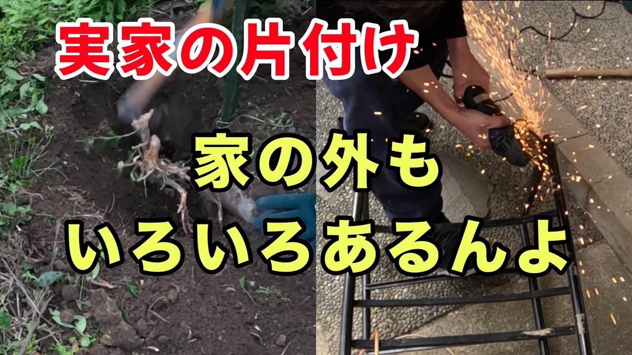 【実家の片付け】切って、掘って、売って、、、１日24時間じゃ足りません