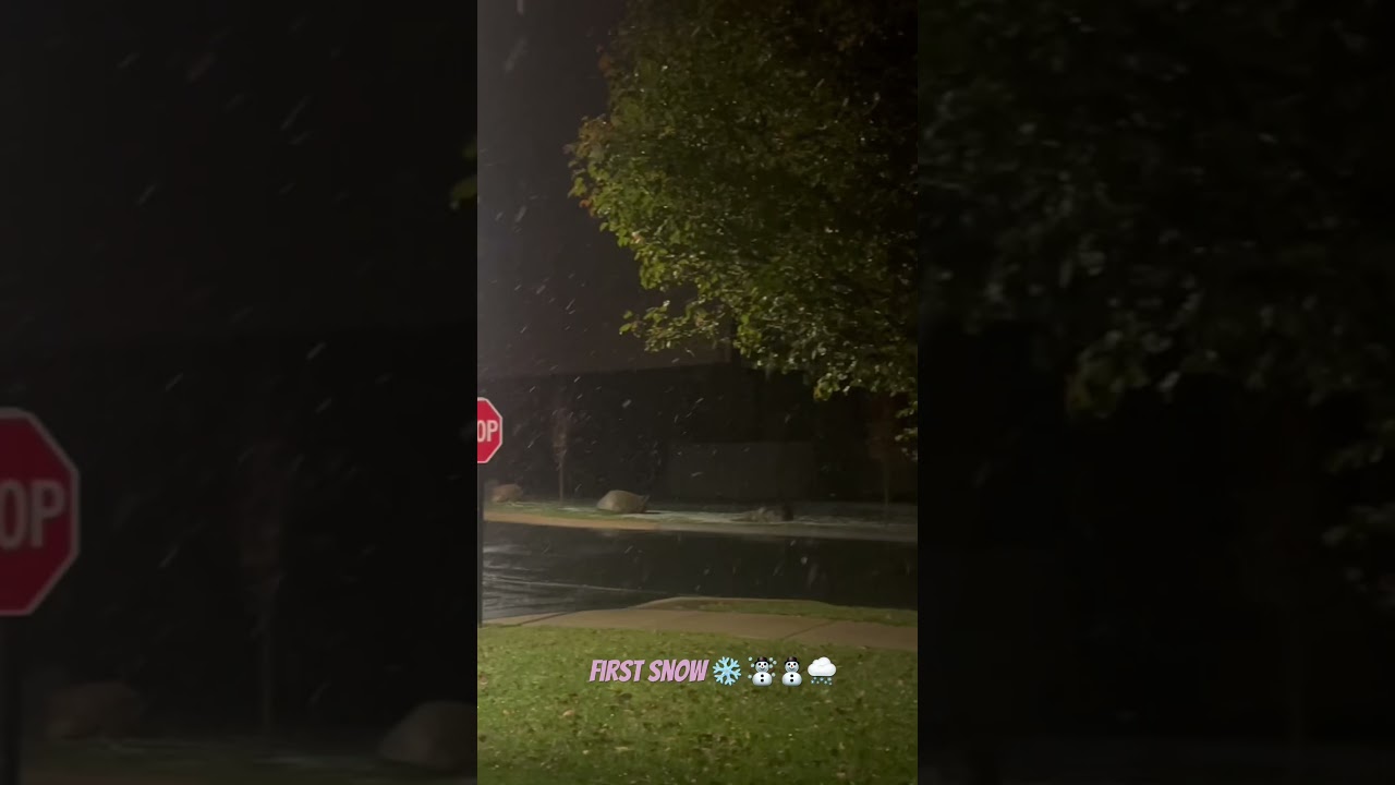 First snowfall in Indianapolis ❤️❄️☃️