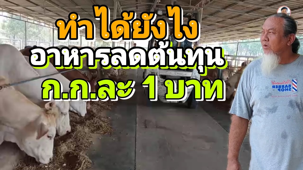 อาหารลดต้นทุน ก.ก.ละ 1 บาท ทำได้ยังไง