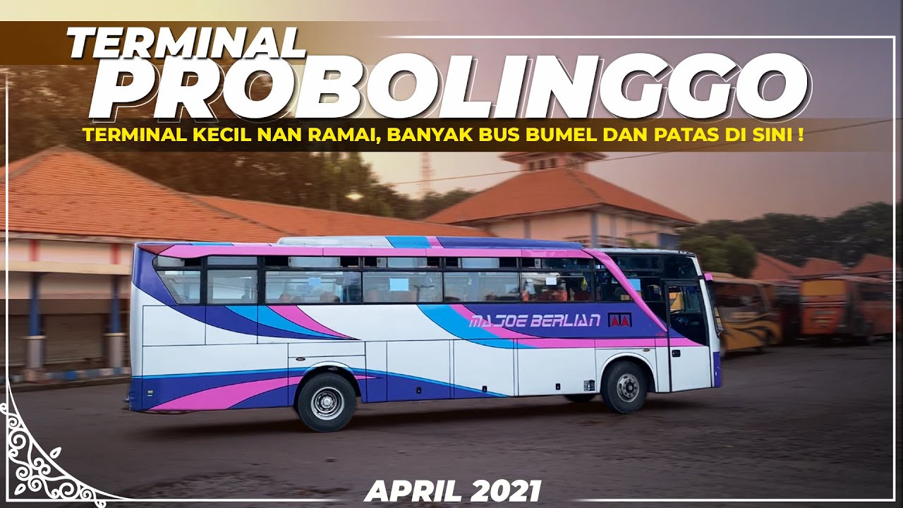 Edisi Ramadhan 2021 : Ngabuburit Berburu Bus di Terminal Probolinggo, Banyak Bus Bumelnya !