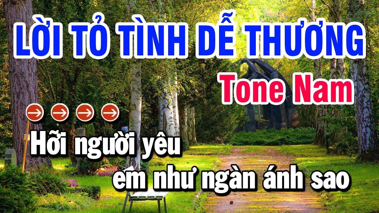 Lời Tỏ Tình Dễ Thương 1 Karaoke Nhạc Sống Tone Nam ( Dm ) Huỳnh Lê