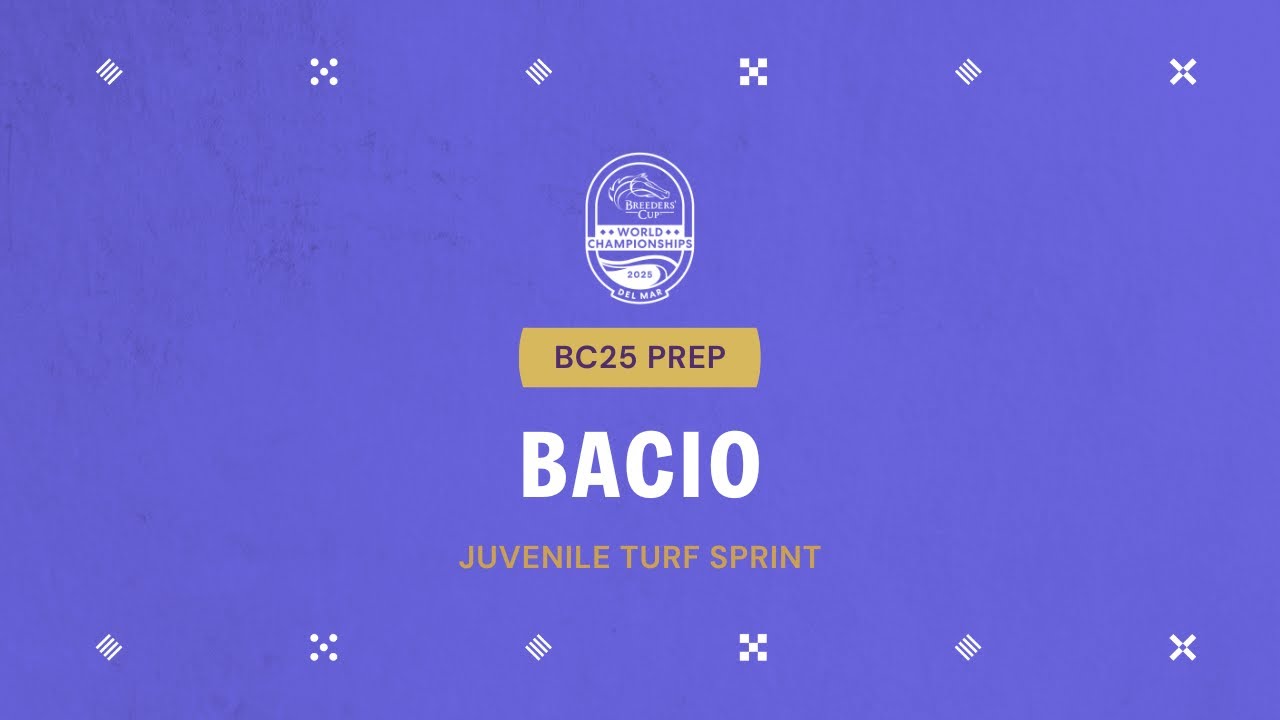 BC25 Morning Works - Bacio