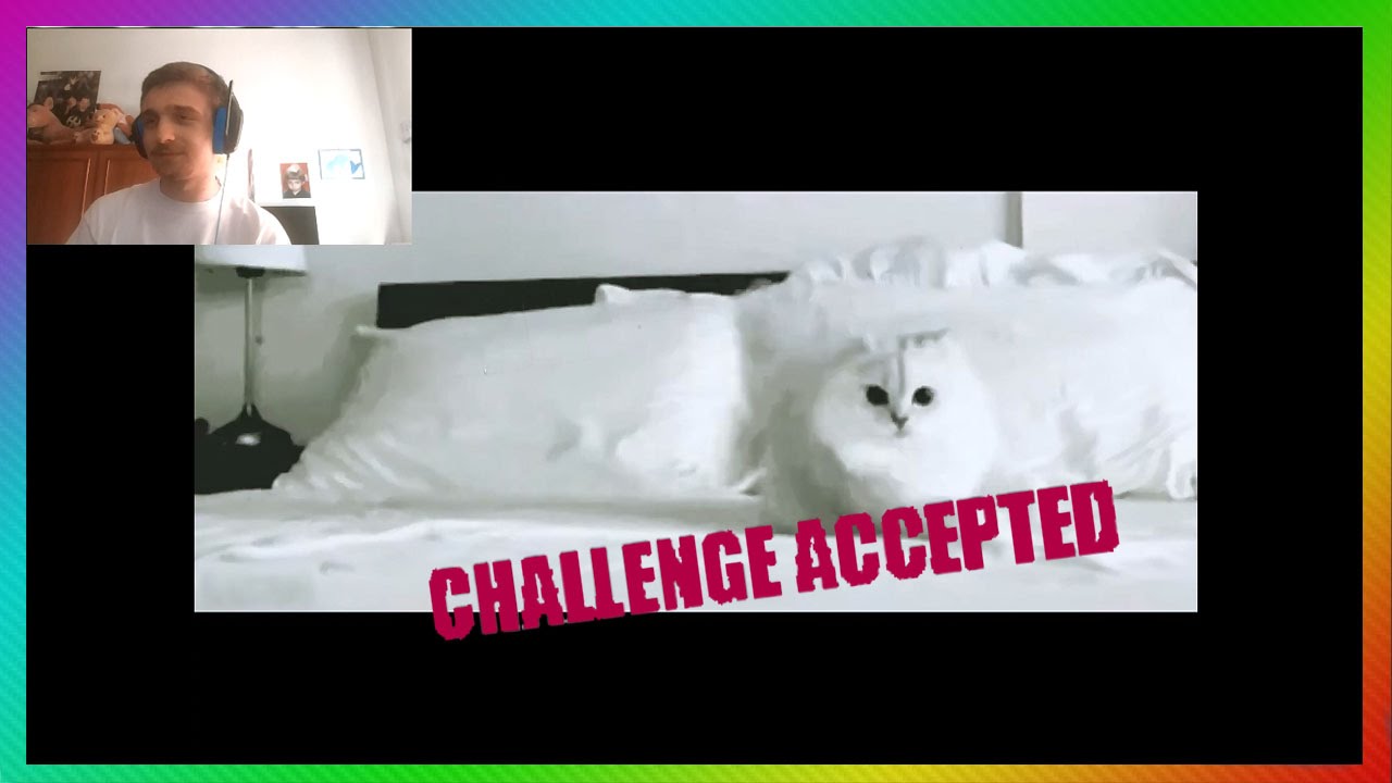NON RIDERE.... Try Not To Laugh!!! #Challenge