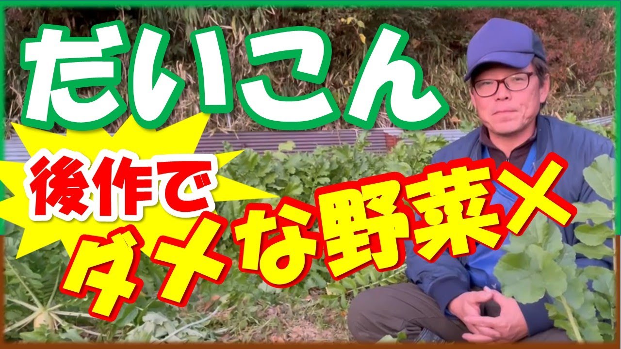 大根の後作で&ldquo;絶対ダメ&rdquo;な野菜、農家が本音で暴露します！
