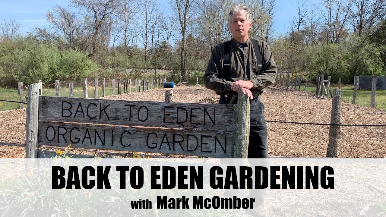 Back to Eden Gardening with Mark 10 Year Results!