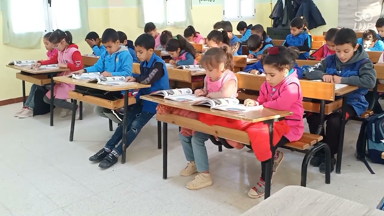 قراءة واستثمار نص سرطان البحر، أسئلة في النحو والاملاء، السنة الثالثة ابتدائي