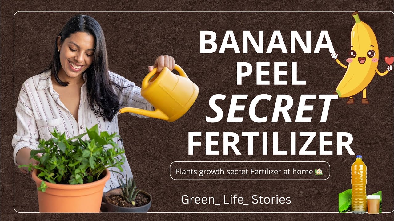 Banana Peels Make AMAZING Fertilizer For Plants #fertilizer