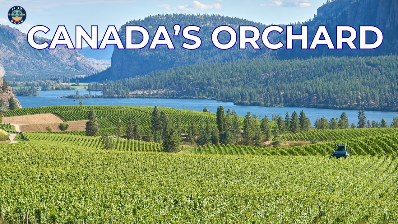 Kelowna & the Okanagan Valley | Biking Myra Canyon, Orchards & Wine Country