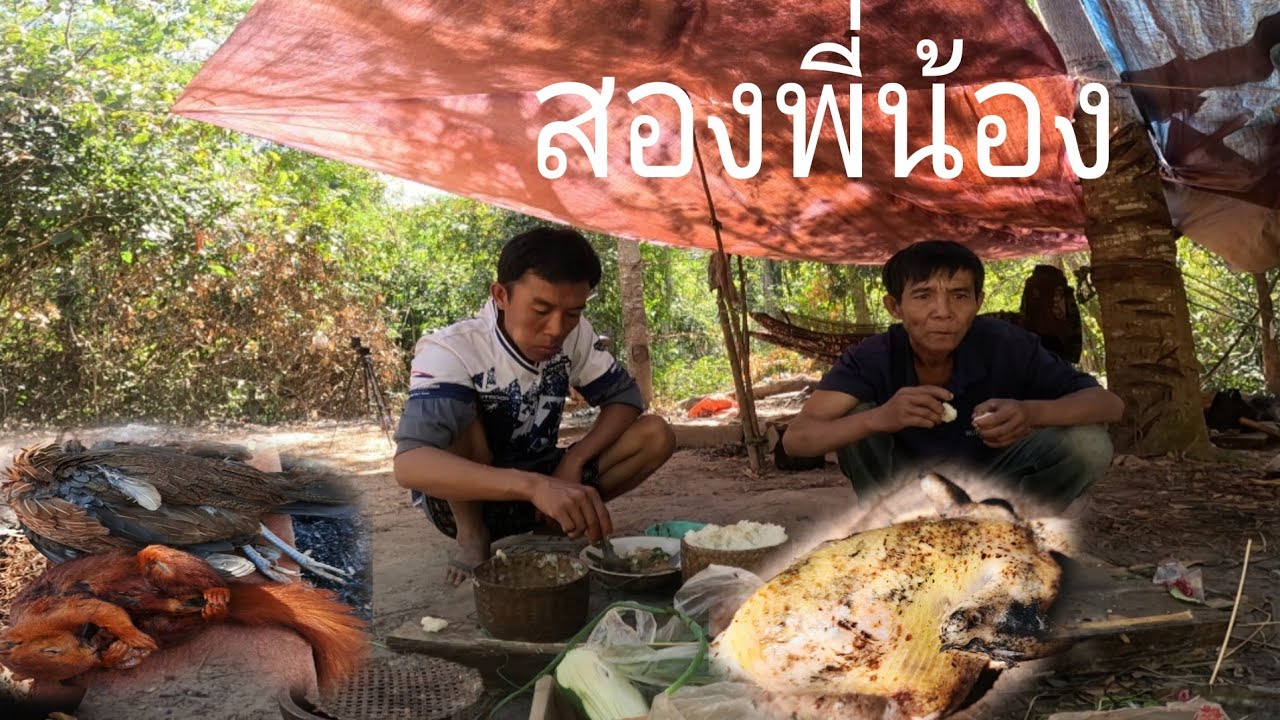นายพรานบ้านนาพบป่าครั้งแรกจัดมาตัว1
