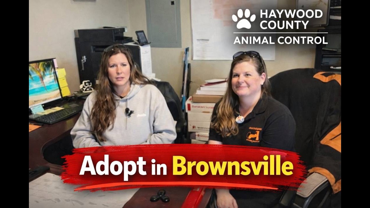 Hometown Tuesday animal shelter 