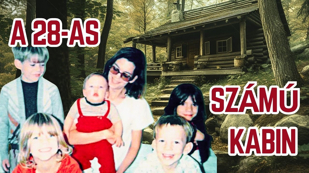 CRIME - A 28-as számú kabin