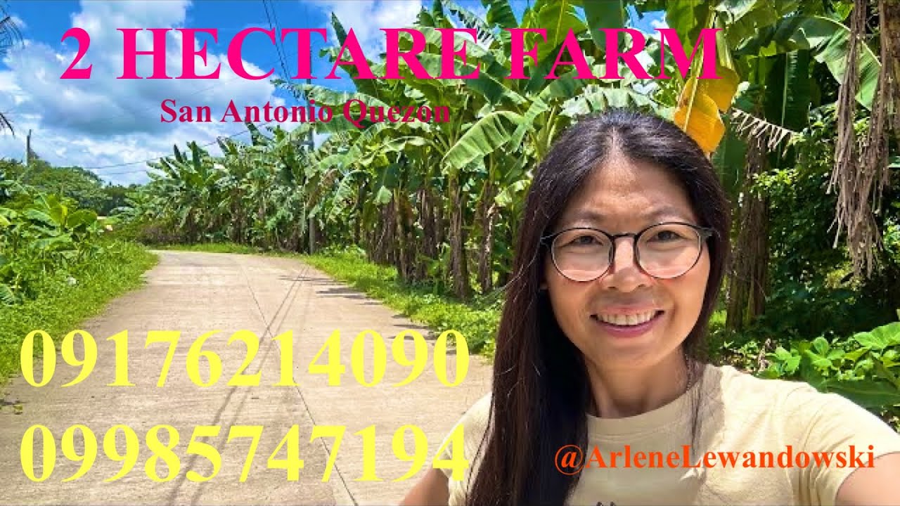 Vlog623: 2 HECTARE  BANANA & CITRUS FARM WITH MOUNTAIN VIEW SAN ANTONIO QUEZON PHILIPPINES