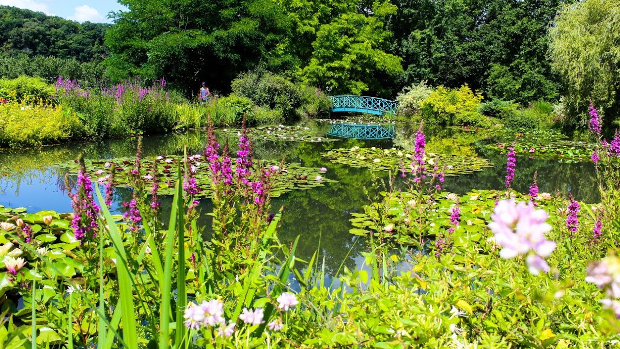 Le jardin d'eau de Carsac