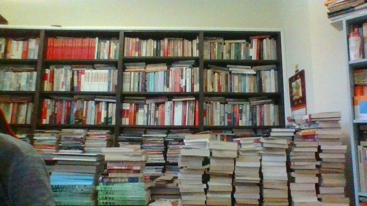 党史杂谈（767）—杨成武出手凶狠，连打邓小平两记窝心拳，人主与恶犬的定律，杨成武拳打脚踢，军队三总部首脑无一幸免，杨成武兴奋地向叶剑英，邱会作描述彭真挨整的过程