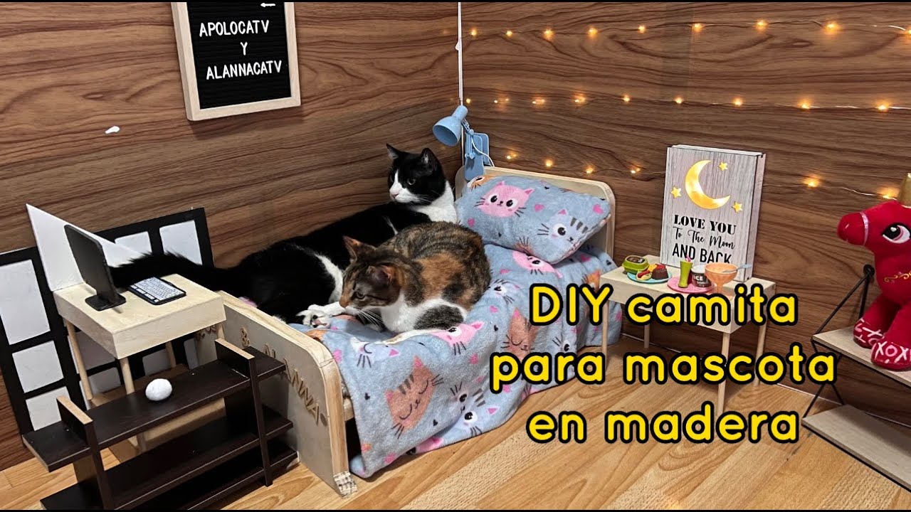 Tutorial Cama de Gato