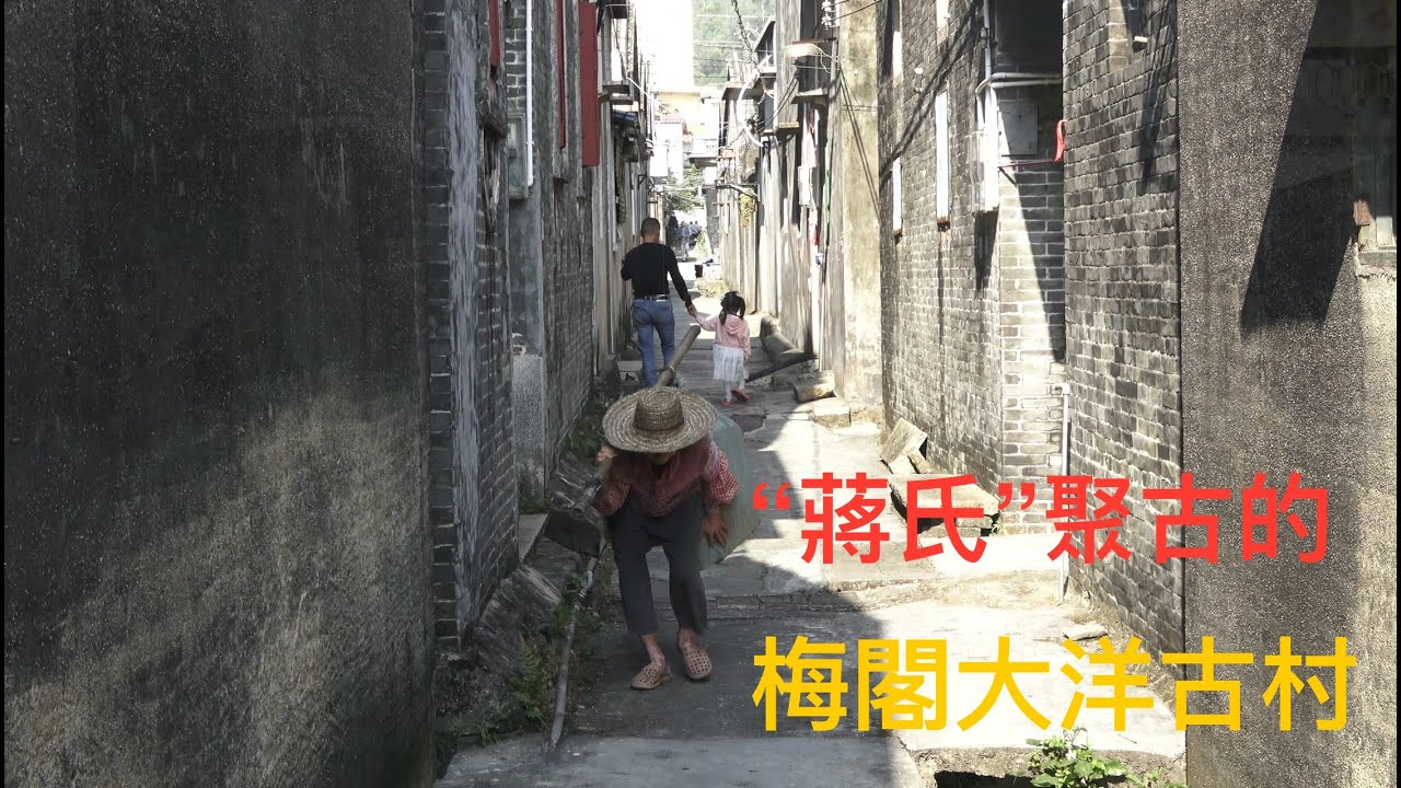 廣東新會 Xinhui 沙堆鎮梅閣大洋村，接近中山、珠海，附近有好多大廠。村入邊的老屋，典型的廣東珠三角一帶的傳統古村。所以村入邊租屋住的外地人比較多。