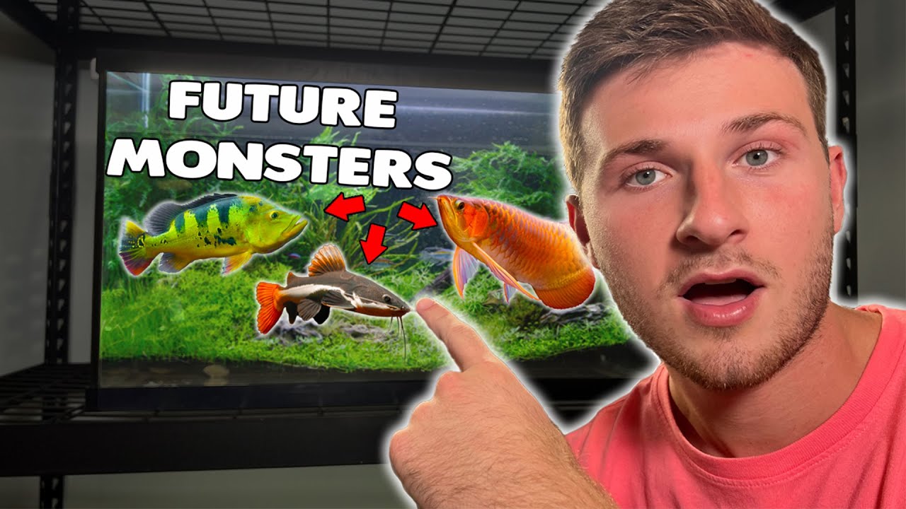 Setting Up My *NEW* Mini Monster Grow-Out Aquarium