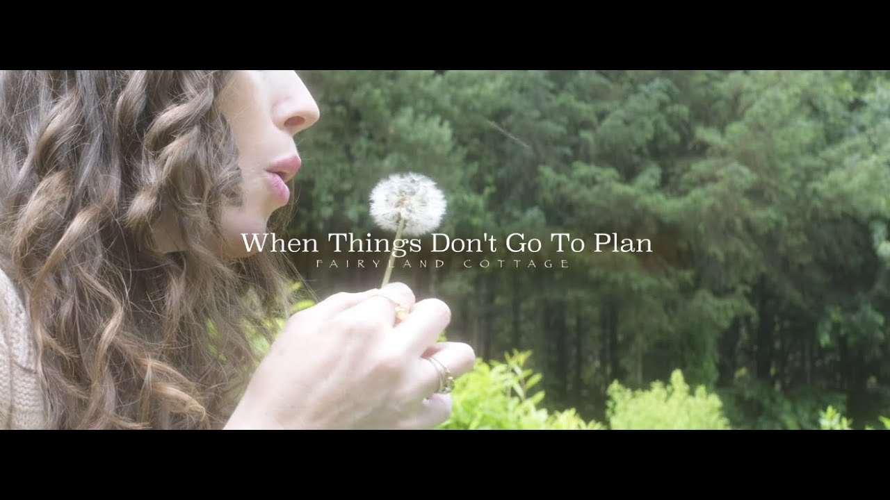 When Things Don't Go To Plan - Clover Pudding and Self Heal Tea