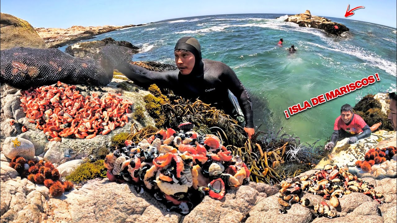 ¡Extracción Mortal! Pescadores cruzan una peligrosa isla de MARISCOS y esto fue lo que extrajeron