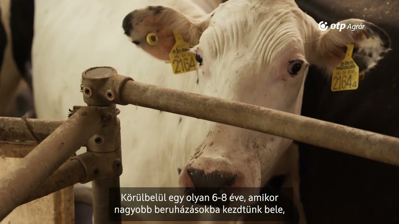 OTP Agrár – Agrársztorik: Nyakas Farm Kft.