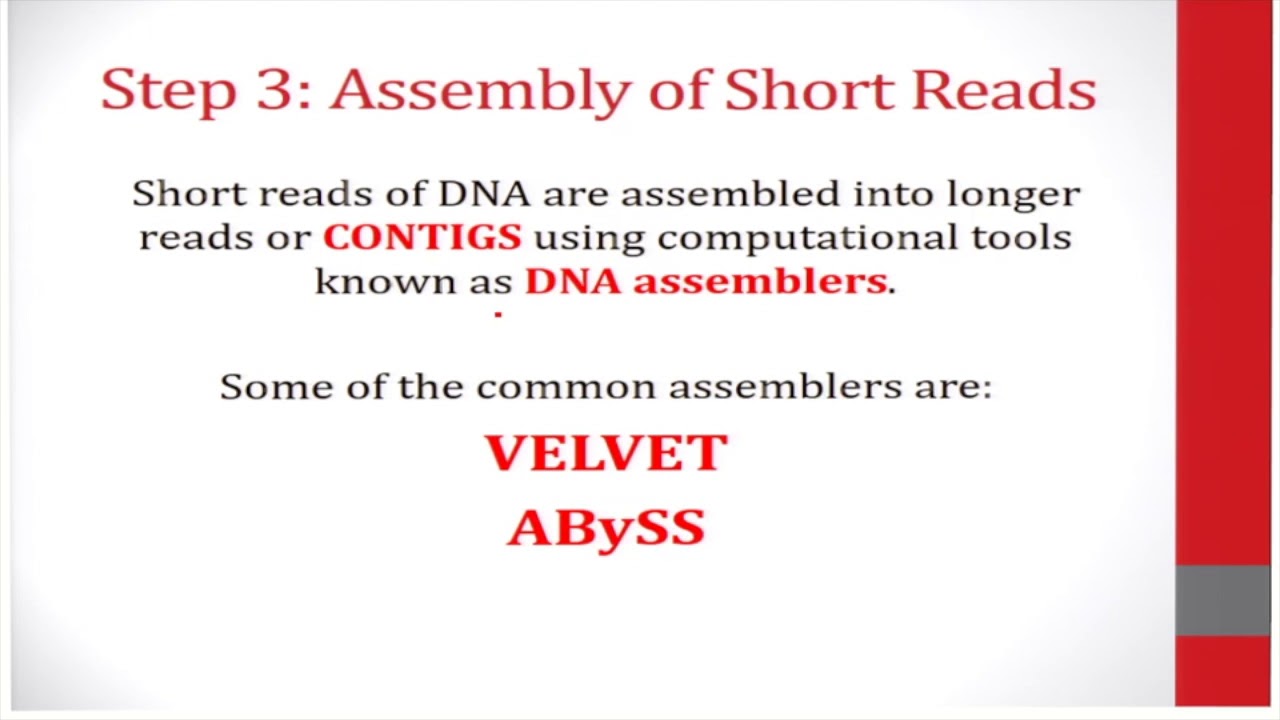 DNA SEQUENCE ASSEMBLY