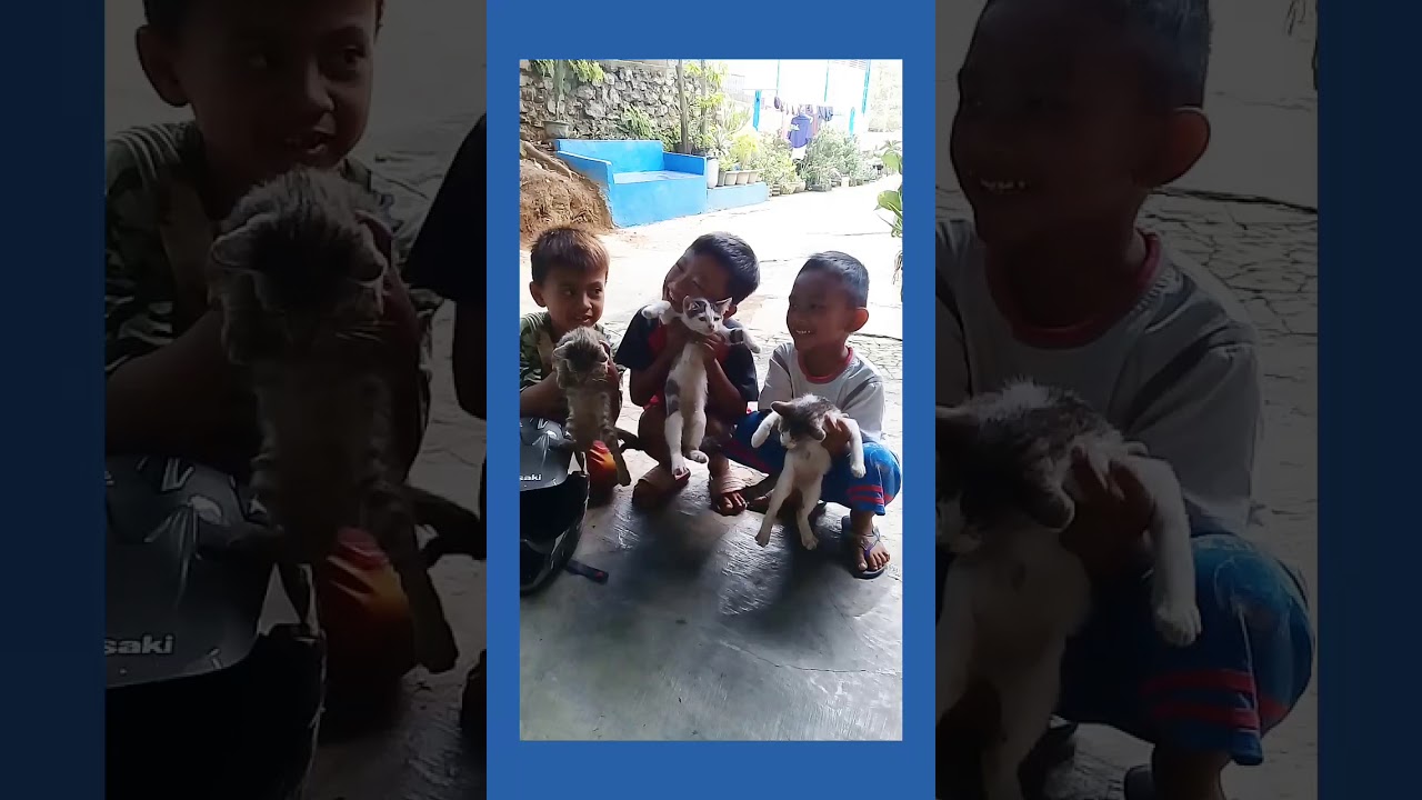 Aksi M.fajri,zaky,fadli penyayang kucing