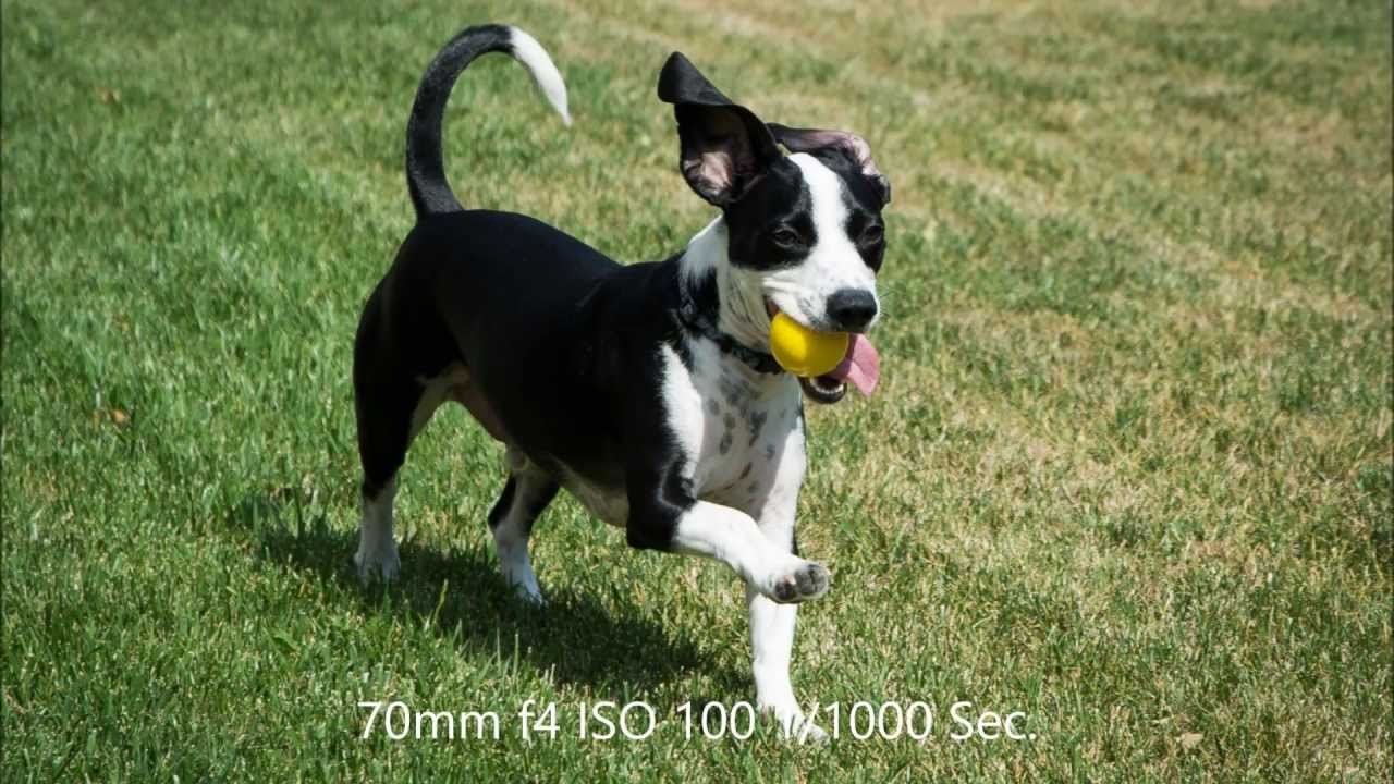 Nikon D7100 Sample Shots