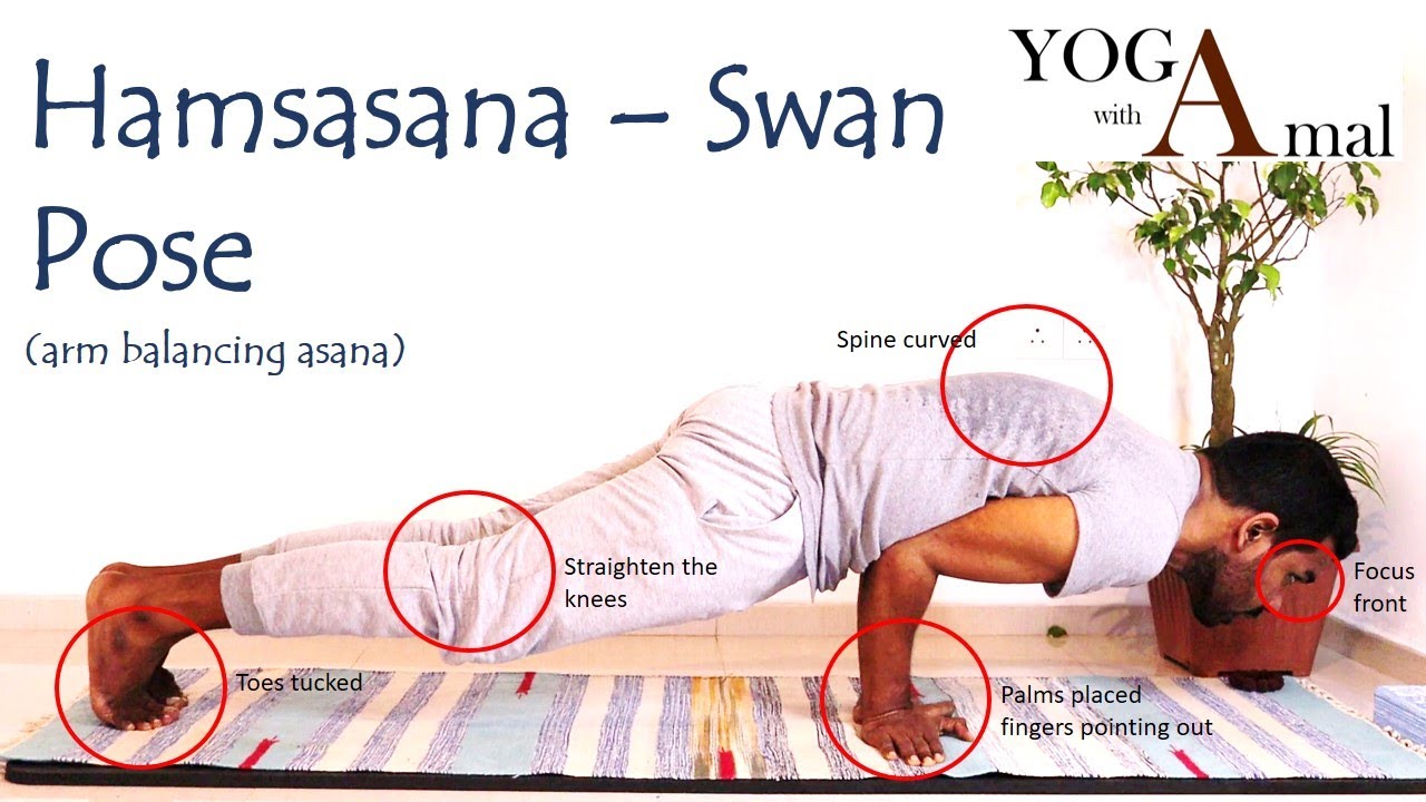 Hamsasana_Swan pose_Yoga with Amal