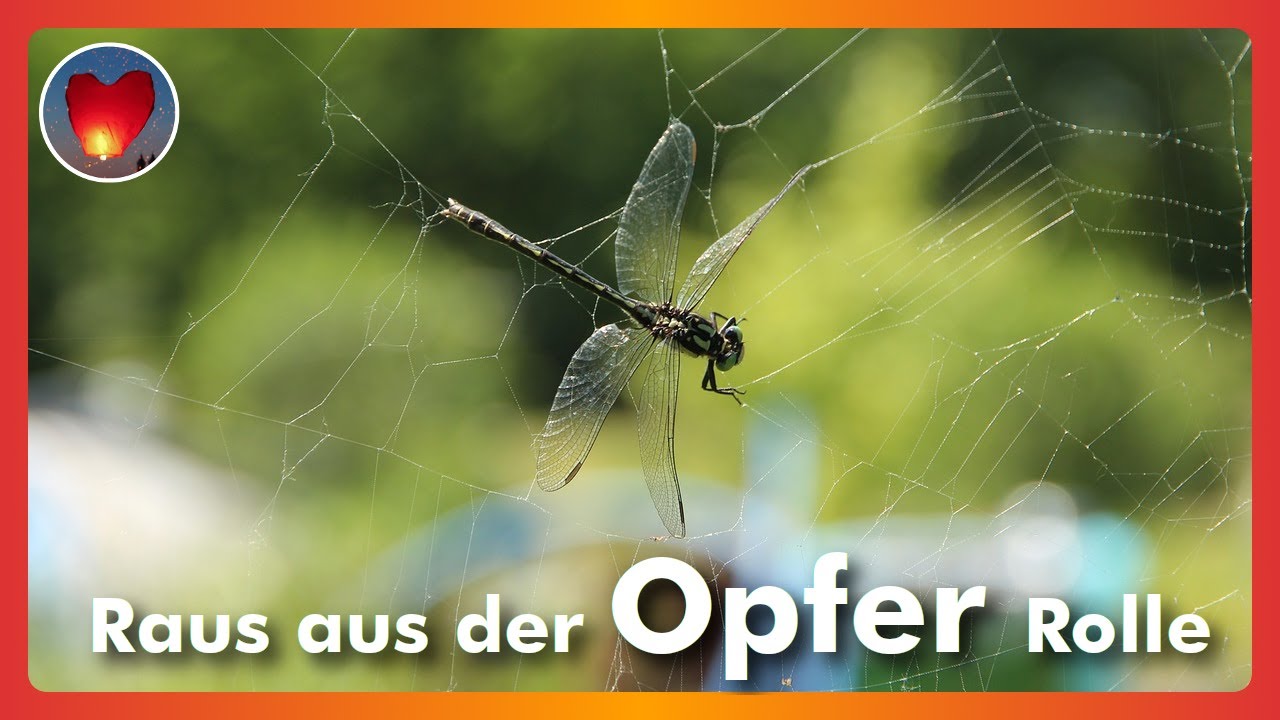 Depressionen überwinden: Raus aus dem Opferbewusstsein!