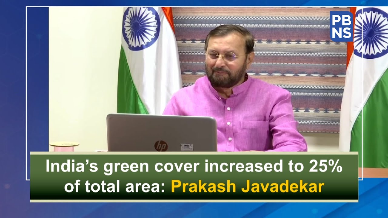 India&rsquo;s green cover increased to 25% of total area: Prakash Javadekar