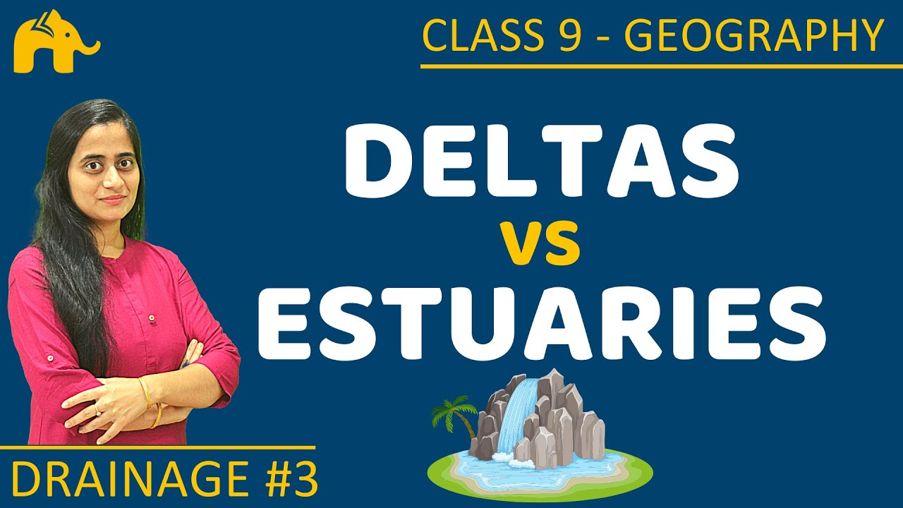 Deltas and Estuaries | Drainage #3 | Class 9 Geography