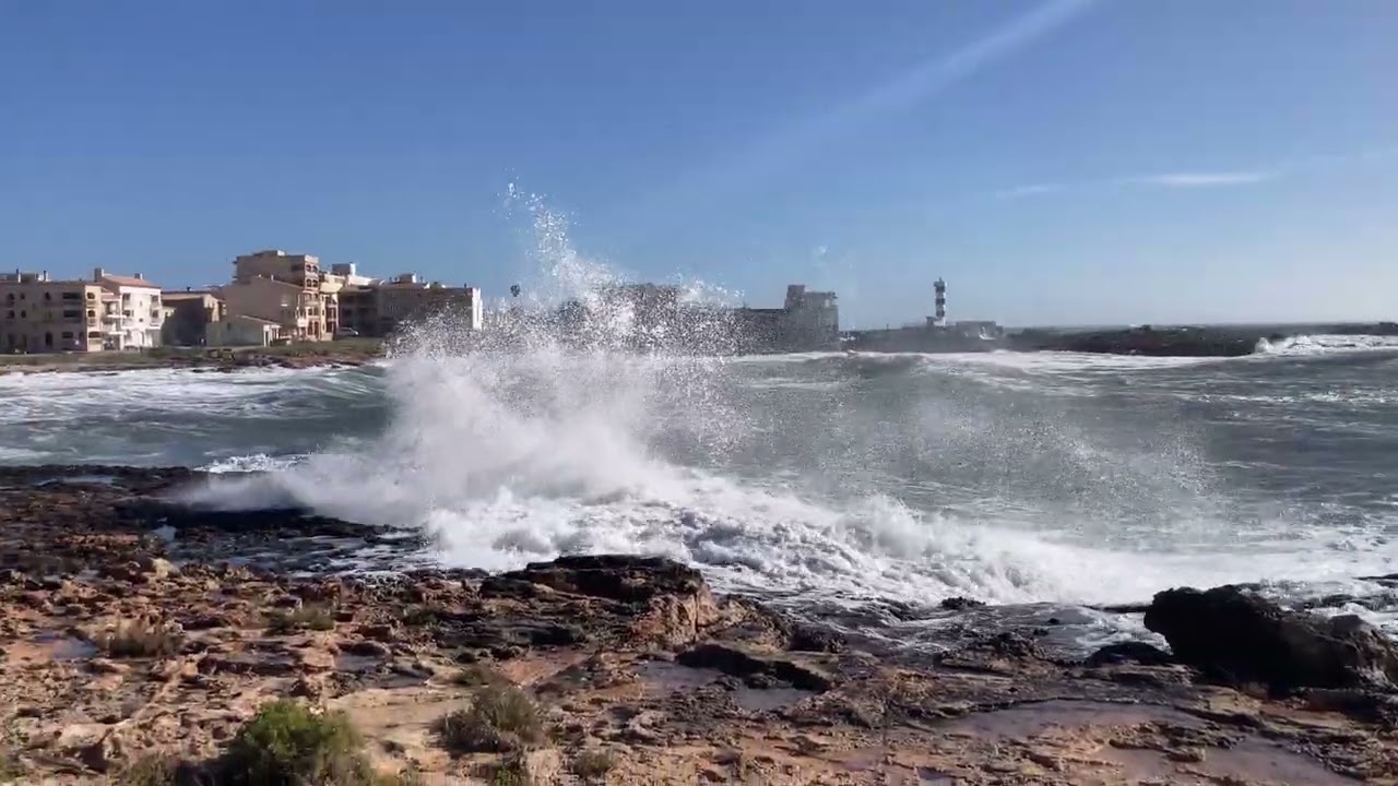 Colonia de Sant Jordi 2026 02 12