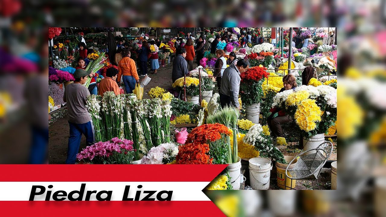 💐🌼VISITANDO PIEDRA LIZA (MERCADO DE FLORES EN LIMA)